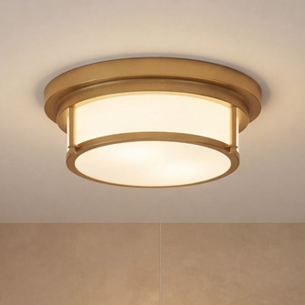 2-Light Ceiling Light in Natural Brass (8483|M60062NB)
