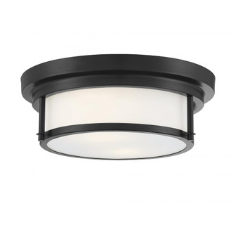 2-Light Ceiling Light in Matte Black (8483|M60062MBK)