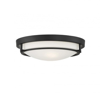 2-Light Ceiling Light in Matte Black (8483|M60019MBK)