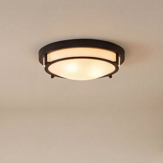 2-Light Ceiling Light in Matte Black (8483|M60019MBK)