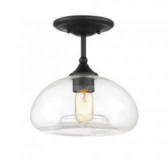 1-Light Ceiling Light in Matte Black (8483|M60017MBK)