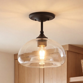 1-Light Ceiling Light in Matte Black (8483|M60017MBK)