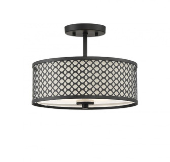 2-Light Ceiling Light in Matte Black (8483|M60016MBK)