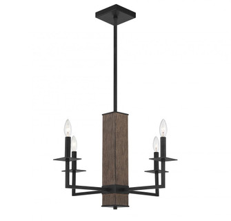 4-Light Chandelier in Remington (8483|M10089DG)