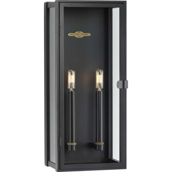 Stature Collection Two-Light Oil Rubbed Bronze and Clear Glass Transitional Style Large Outdoor Wall (149|P560269-108)