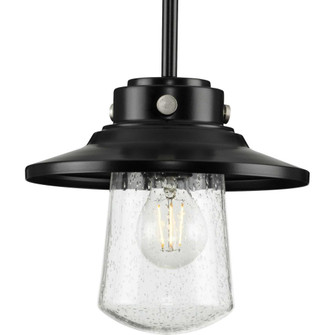 P550093-031 1-60W MED PENDANT (149|P550093-031)