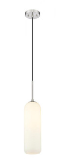 1 Light Pendant (276|732P22-BN)