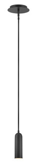 Extra Small LED Pendant (87|32377BK)