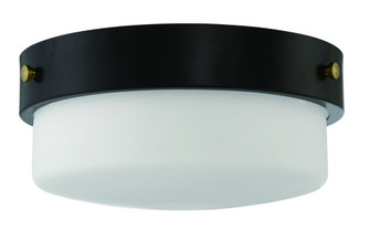 Oak Street 2 Light 13'' Flushmount in Flat Black (20|X3214-FB)