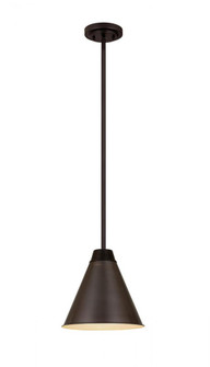 1 Light Pendant (276|6011P12-BP)