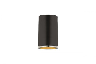 1 Light Flush Mount (276|2303F1-MB-CH)