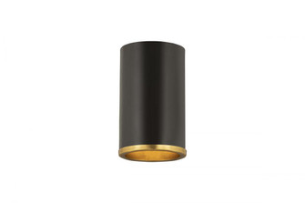 1 Light Flush Mount (276|2303F1-MB-RB)