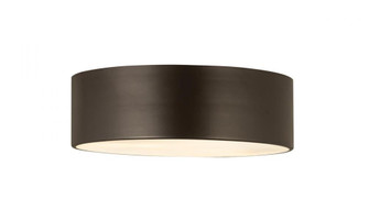3 Light Flush Mount (276|2302F3-BRZ)