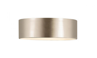 3 Light Flush Mount (276|2302F3-BN)