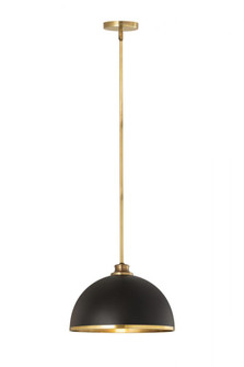 1 Light Pendant (276|1004P14-MB-RB)