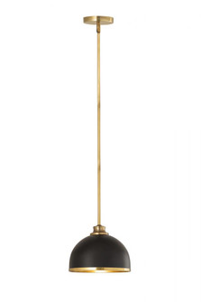1 Light Pendant (276|1004P10-MB-RB)