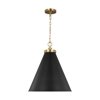 Wellfleet Large Cone Pendant (7725|CP1281MBKBBS)