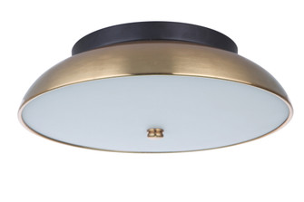 Soul 1 Light 12.5'' LED Flushmount in Flat Black/Satin Brass (20|X6813-FBSB-LED)