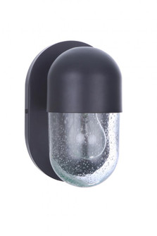 Pill 1 Light Wall Sconce in Flat Black (20|55001-FB)