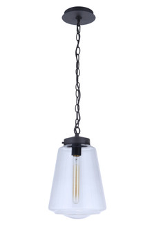 Laclede 1 Light Large Outdoor Pendant in Midnight (20|ZA3821-MN)