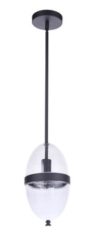 Sivo 1 Light Outdoor Pendant in Midnight (20|ZA3511-MN)