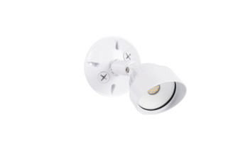 1 Light Outdoor LED Flood in White (20|Z421-W-LED)