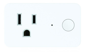 Smart WiFi On/Off Indoor Wall Plug (20|WPS-100)