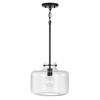 1 Light Pendant (42|342512MB)