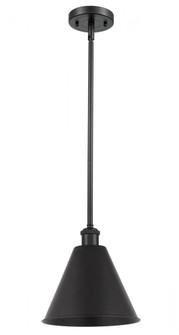 Berkshire - 1 Light - 12 inch - Matte Black - Pendant (3442|516-1S-BK-MBC-12-BK-LED)