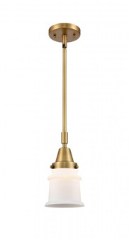 Canton - 1 Light - 7 inch - Brushed Brass - Mini Pendant (3442|447-1S-BB-G181S-LED)