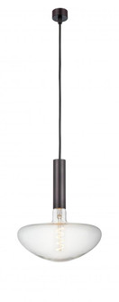 Edison - 1 Light - 10 inch - Oil Rubbed Bronze - Cord hung - Mini Pendant (3442|198-1P-OB-BB250LED)