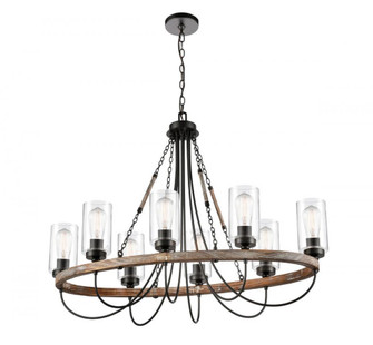 Paladin - 8 Light - 39 inch - Matte Black - Chain Hung - Chandelier (3442|442-8CR-BK-G4422-LED)