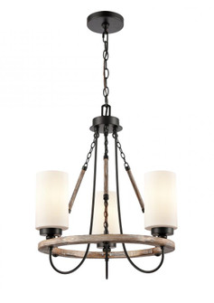 Paladin - 3 Light - 19 inch - Matte Black - Chain Hung - Mini Chandelier (3442|442-3CR-BK-W-LED)