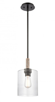 Paladin - 1 Light - 7 inch - Matte Black - stem hung - Mini Pendant (3442|442-1S-BK-CL-LED)
