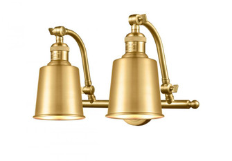 Addison - 2 Light - 18 inch - Satin Gold - Adjustable Bath Vanity Light (3442|515-2W-SG-M9-SG-LED)