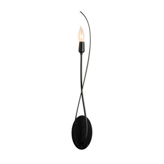 Willow Sconce (65|209120-SKT-10)
