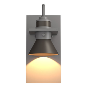 Erlenmeyer Dark Sky Friendly Outdoor Sconce (65|307716-SKT-78-77)