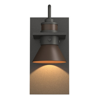 Erlenmeyer Dark Sky Friendly Outdoor Sconce (65|307716-SKT-20-75)
