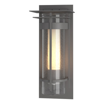 Torch Small Outdoor Sconce with Top Plate (65|305996-SKT-78-ZS0654)