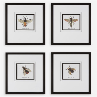 Anthophila Framed Prints, S/4 (85|41428)