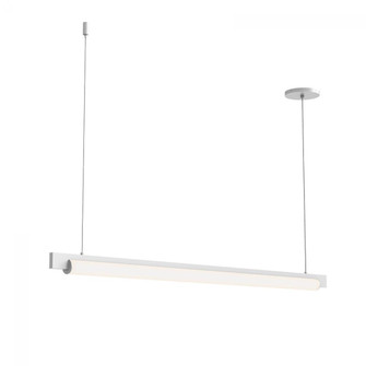44'' LED Pendant (107|3826.03)