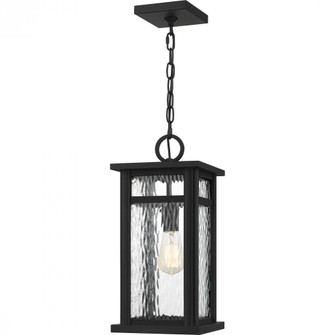 Moira 1-Light Earth Black Outdoor Hanging Lantern (26|MOI1908EK)
