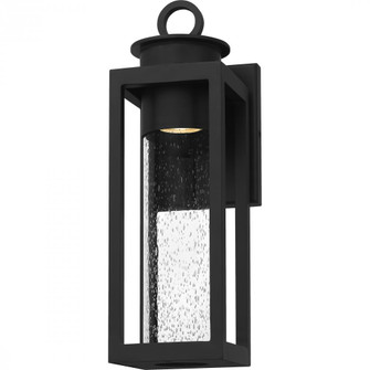 Donegal Outdoor Lantern (26|DGL8405MBK)