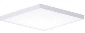 Trim-Flush Mount (19|57675WTWT)
