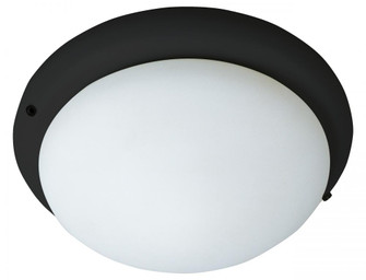 Fan Light Kits-Ceiling Fan Light Kit (19|FKT206BK)