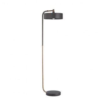 Aaron Floor Lamp (314|79813)