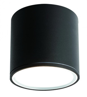 Everly 5'' LED Outdoor Ceiling (1|EVYW0405L30D2BK)