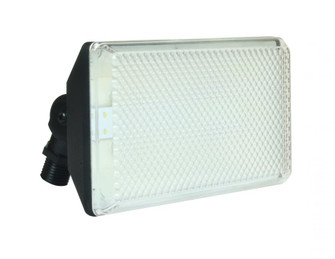Watt LED Floodlight - 120 Volt. Die-Cast Aluminum Housing - Clear Lexan Lens - 700 Fixture Lumens - (1|TPDW4000L50BK)