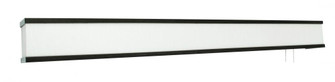 RANDOLPH OVERBED LED 56W 4050lm 120V (1|RAB384000L30ENRB-LW)