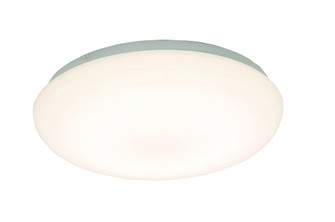 Camden 11'' LED Flush Mount (1|CMF111600LAJD1)